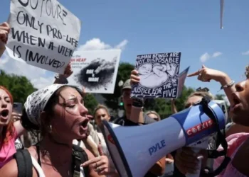 interrupção voluntária da gravidez