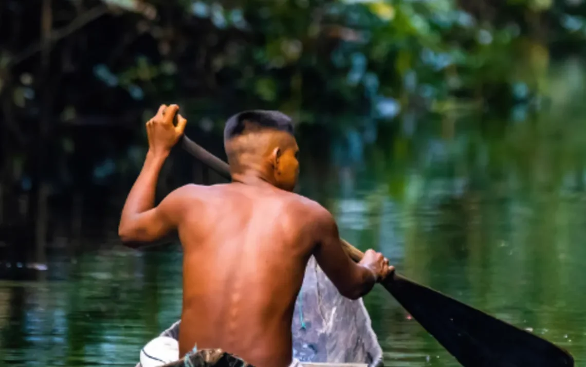 ensino ambiental, instrução sobre o meio ambiente, educação sobre o meio ambiente