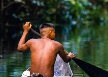 ensino ambiental, instrução sobre o meio ambiente, educação sobre o meio ambiente