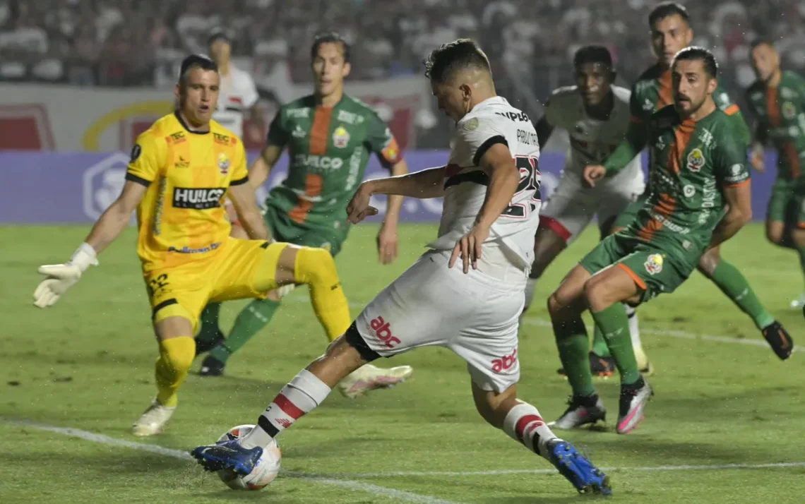 Copa Libertadores, competição sul-americana, torneio