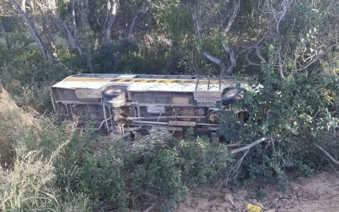 incidente, colisão, sinistro;