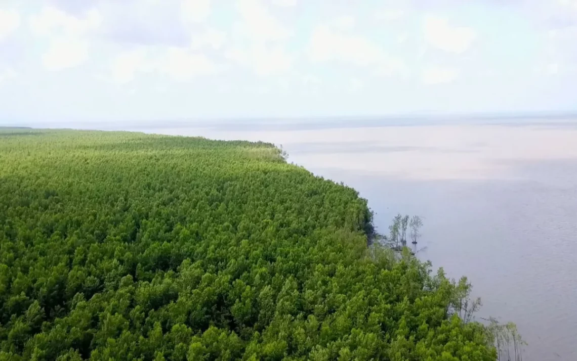 sustentabilidade, desenvolvimento sustentável, preservação ambiental;