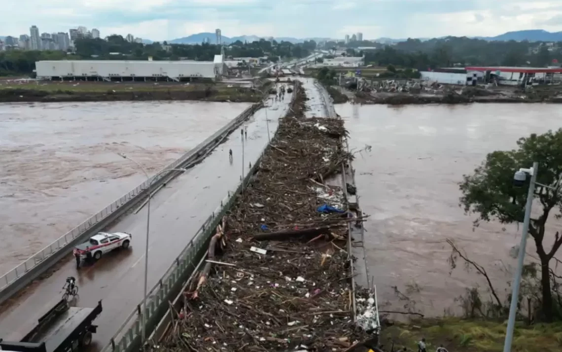 fortes, chuvas, ensolarilhadas, chuva, torrencial;