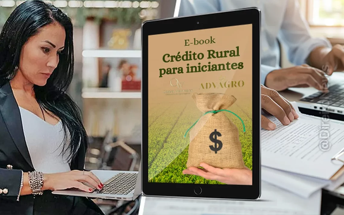 Financiamento Rural, Crédito Agrícola