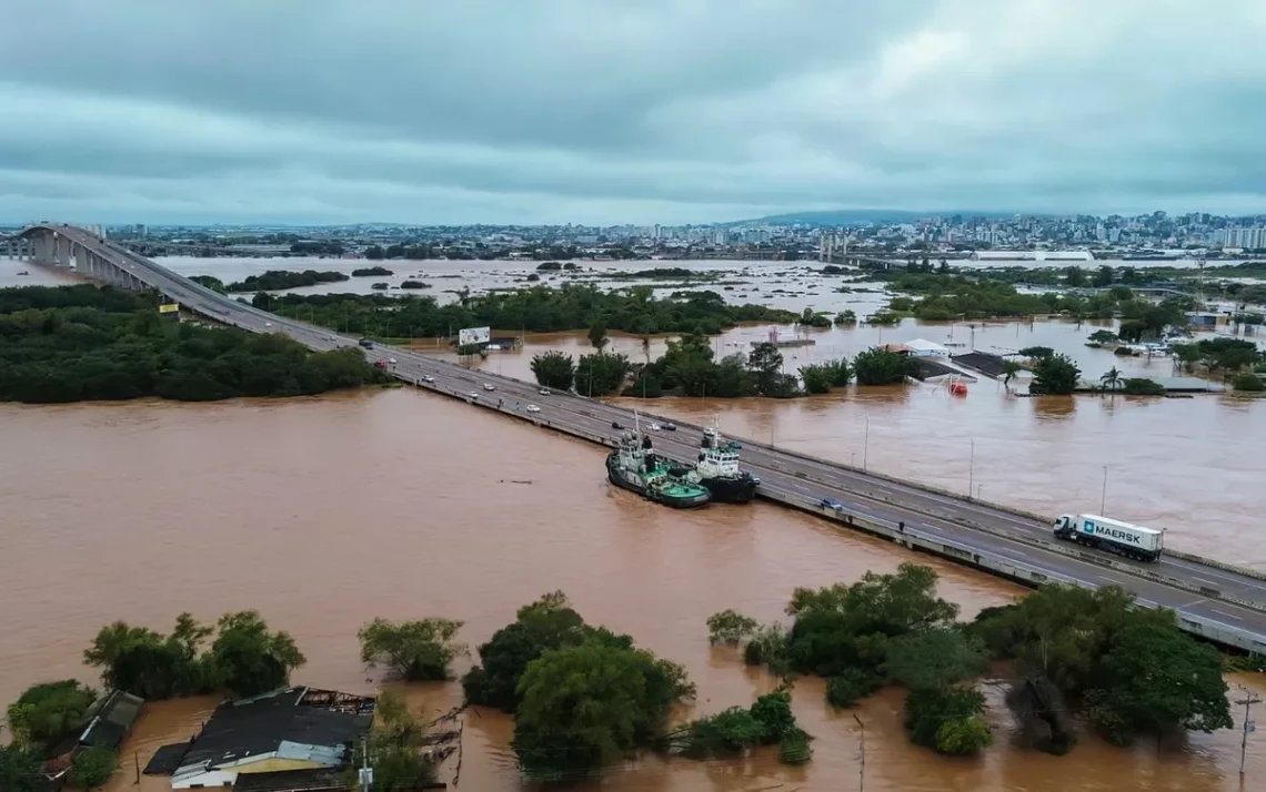 nove estados, região Nordeste, Consórcio Nordeste, grupos efetivos.