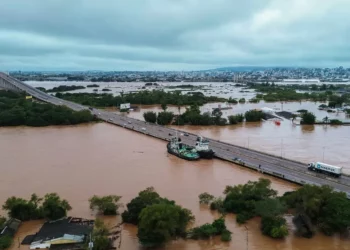 nove estados, região Nordeste, Consórcio Nordeste, grupos efetivos.