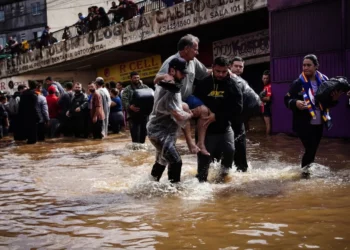 doença, bacteriana, infecção, Leptospira;