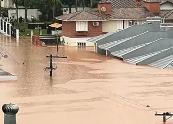 ações, recuperação;