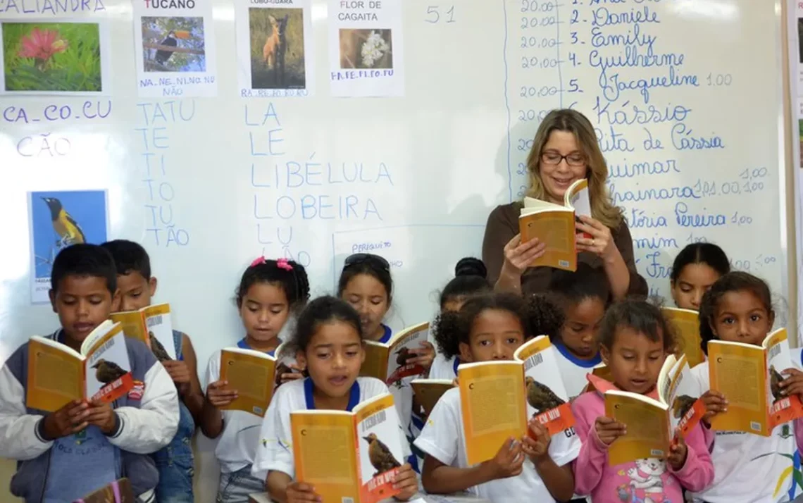 formação, de docentes, capacitação, educadores;