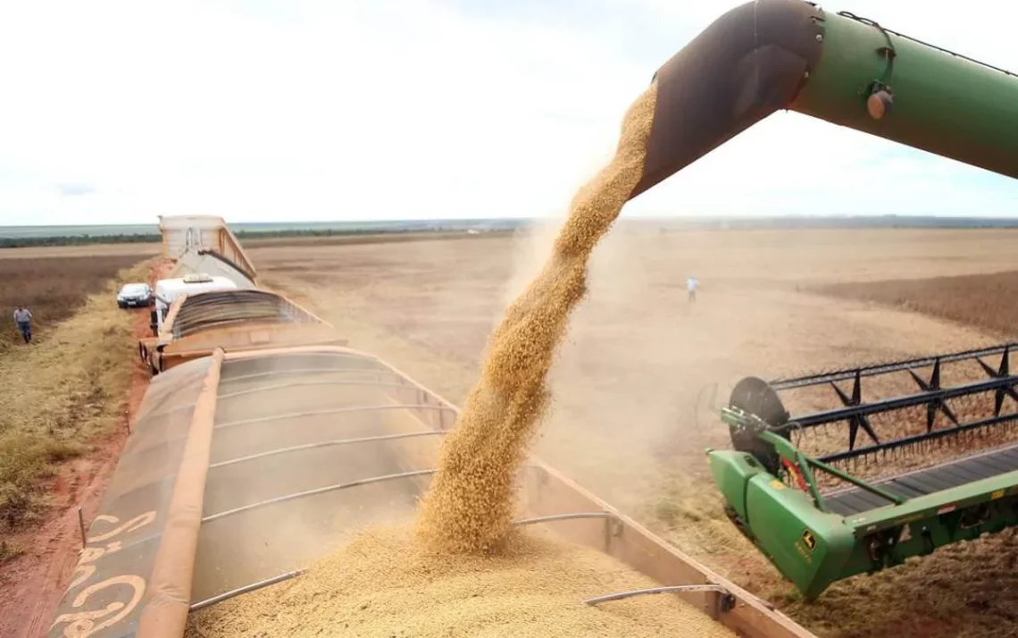 setor, de máquinas, agricolas, industria, de máquinas, agricolas;