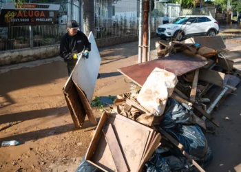 remoção, de lixo, entulhos, lixo, aparado;