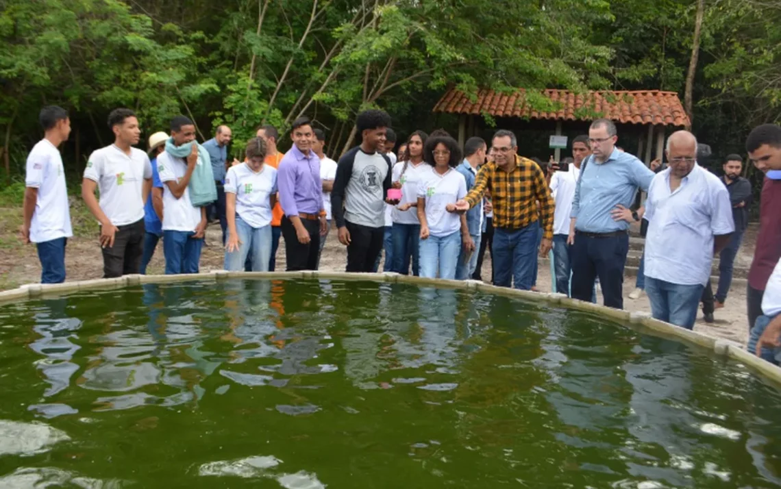 Projeto de Luta contra a Falta de Alimentos, Projeto de Combate à Fome, Projeto de Combater a Famina.