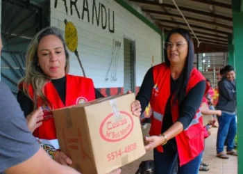 Comunidades indígenas, População indígena