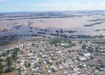 meio ambiente, naturál, ecossistema, natureza;