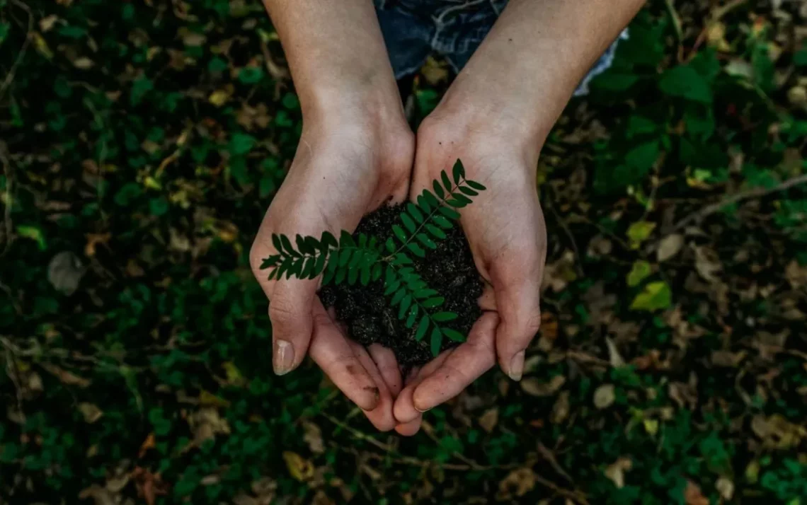 neutralizar, emissões de, carbono, compensar, emissões de, CO2, neutralização, de carbono