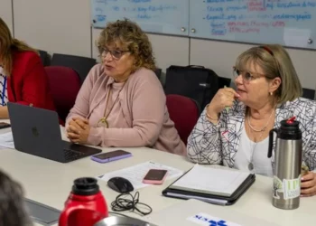 Vigilância epidemiológica, Arboviroses, Monitoramento, Ministério da Saúde