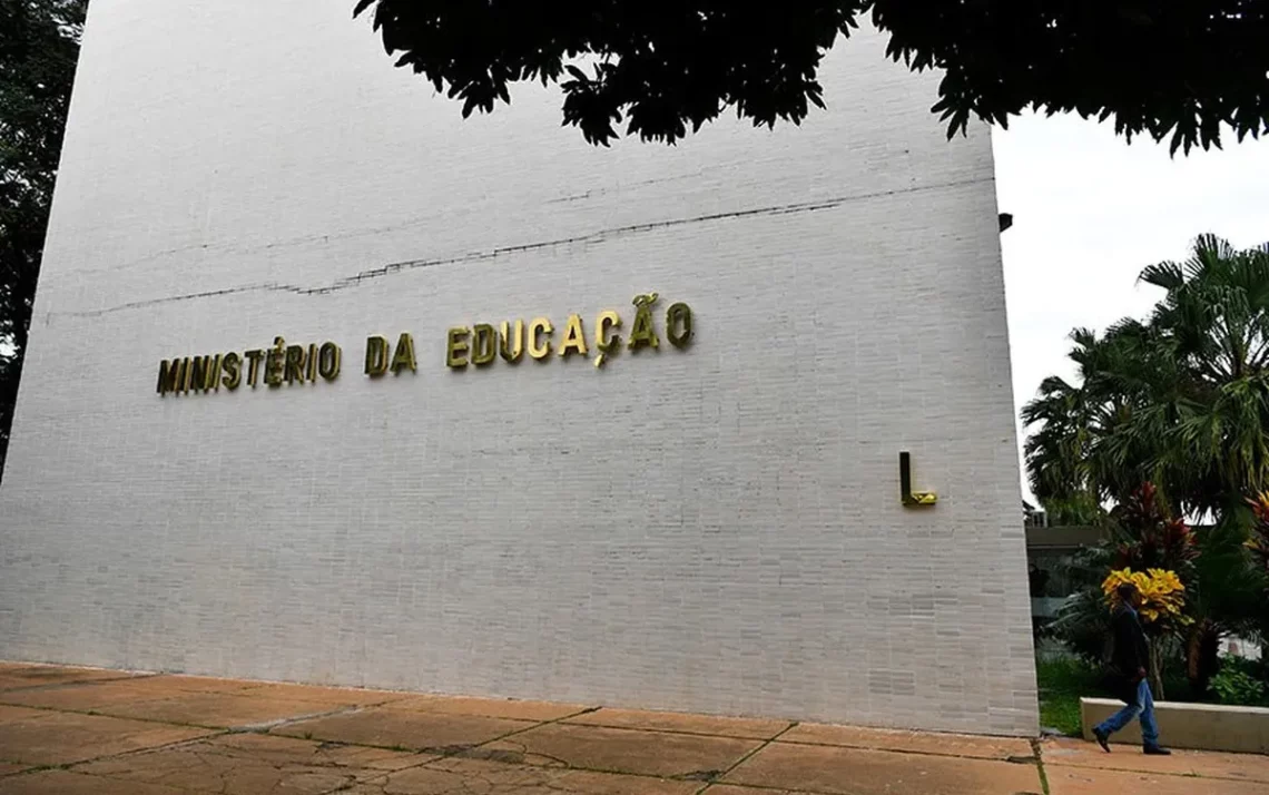 Educação à distância;