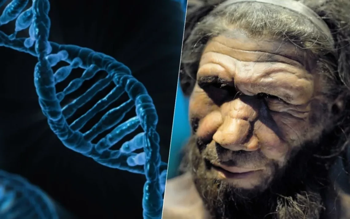 homem de Neandertal, genes neandertais, nossos antepassados Neandertais;