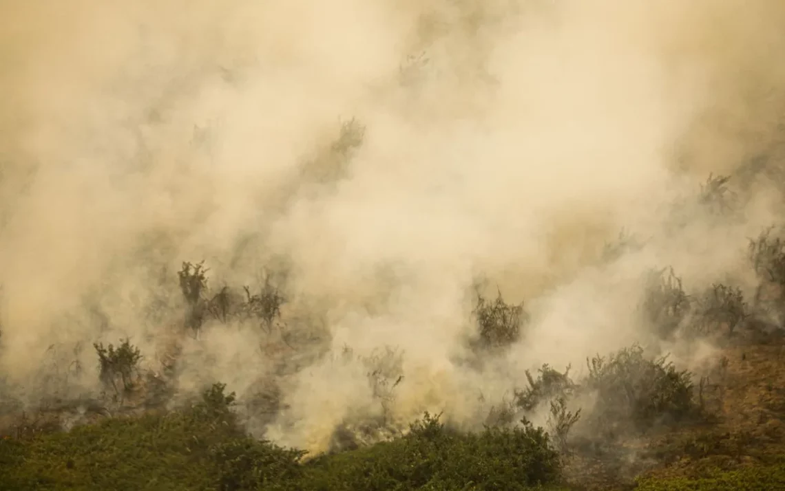 Combate às queimadas, Controle de fogo;