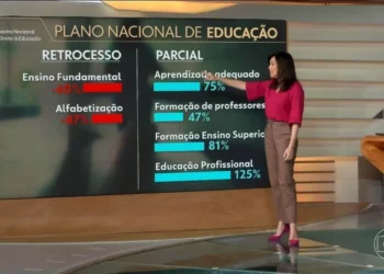 ensino, aprendizado, formação;