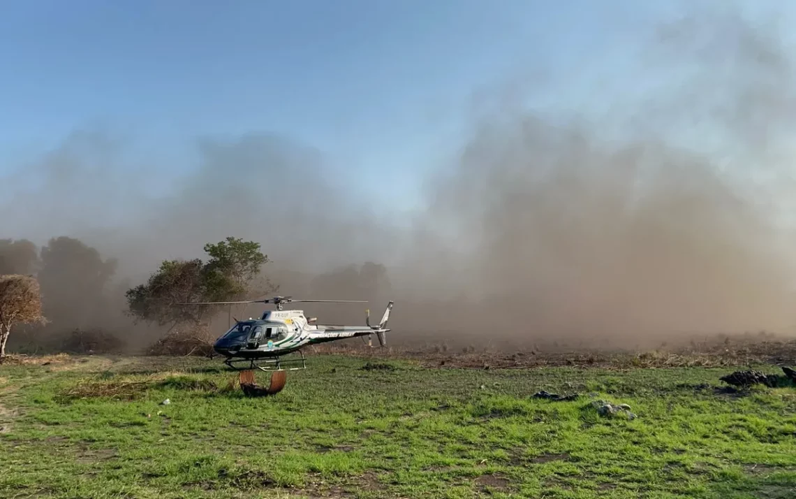 queimadas, focos, de incêndio, queimadas, focos;