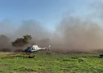 queimadas, focos, de incêndio, queimadas, focos;