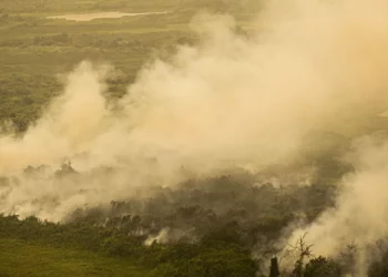 queimadas, focos, de fogo, cicatrizes, de fogo;