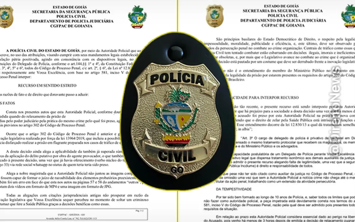 policia, autoridade, policia;