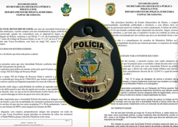 policia, autoridade, policia;