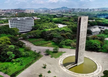 instituições, ensino, faculdades, estudos, centros;