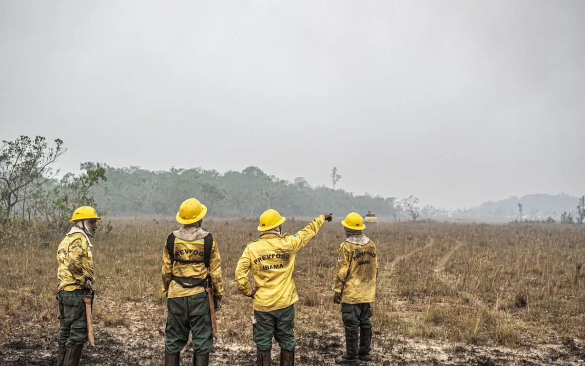 incêndios, queimadas, chamas;