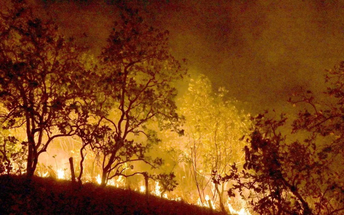 incêndios, focos de fogo, chamas;