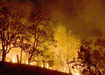 incêndios, focos de fogo, chamas;