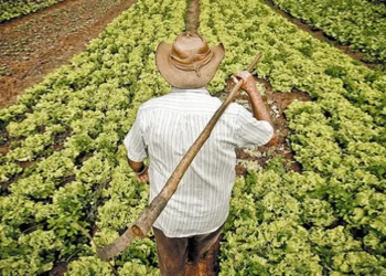 contrato de arrendamento, locação rural, arrendamento rural;