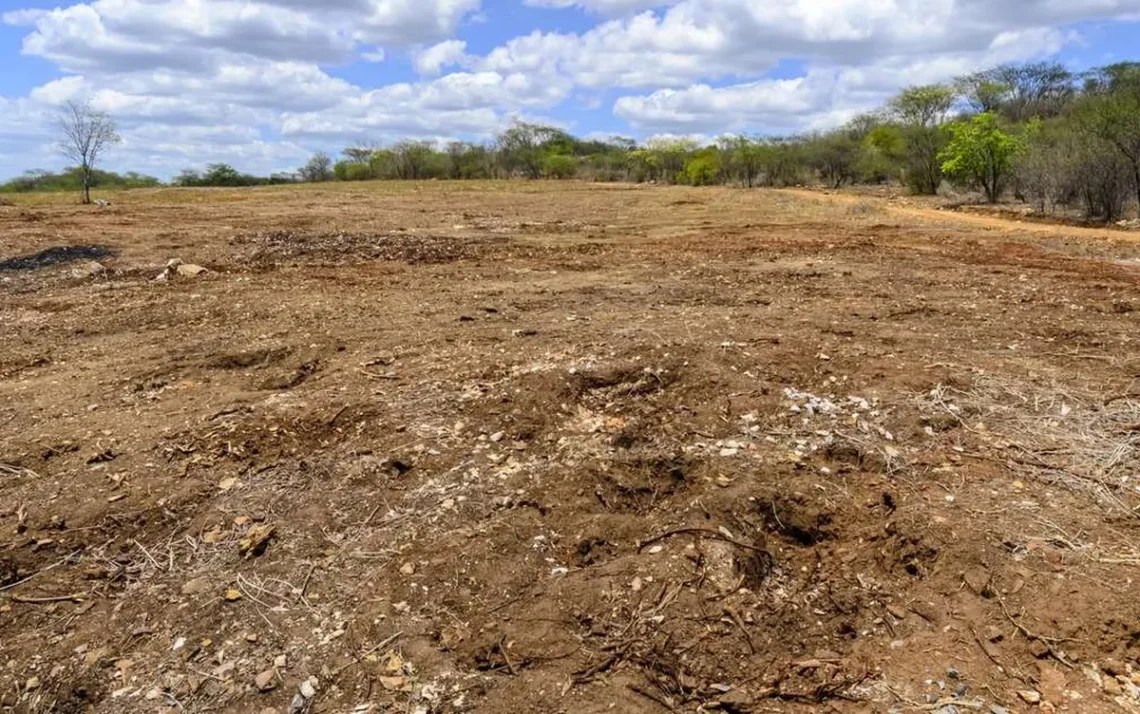 degradação do solo, perda da fertilidade, degradação contínua;