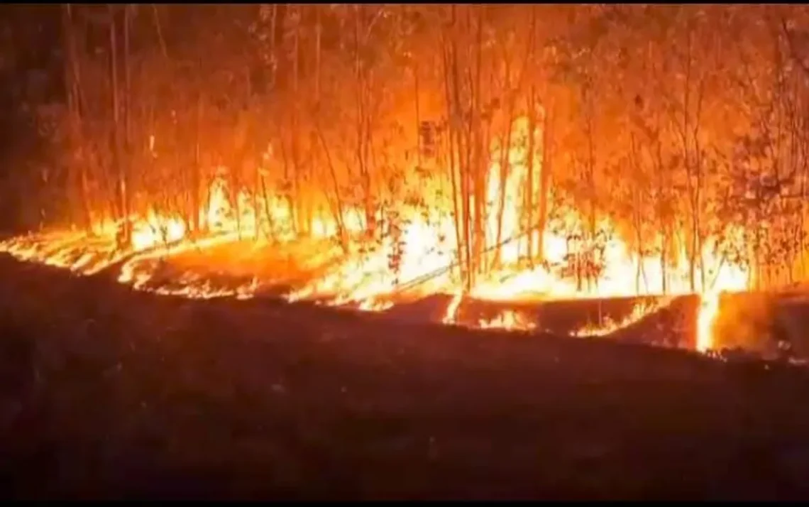 fogo, queimadas, incêndio florestal;