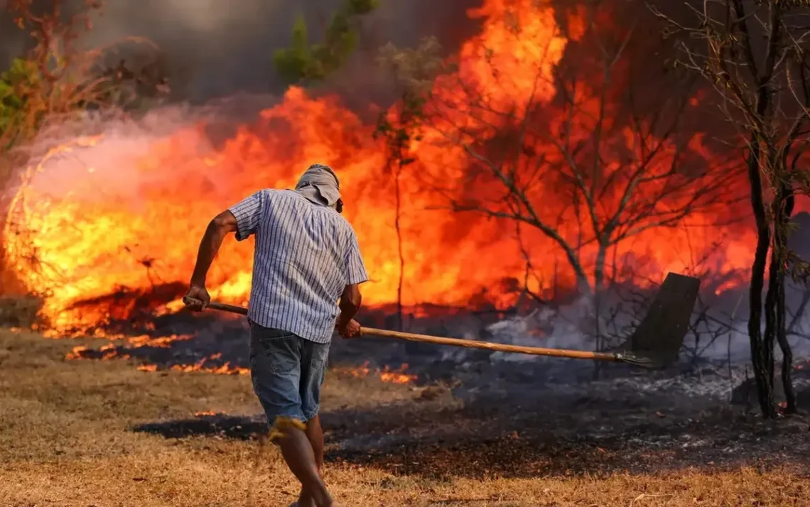 queimadas, focos de incêndio, incendiados';