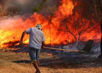 queimadas, focos de incêndio, incendiados';