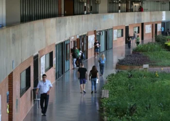 Alunos, Universitários, Jovens;