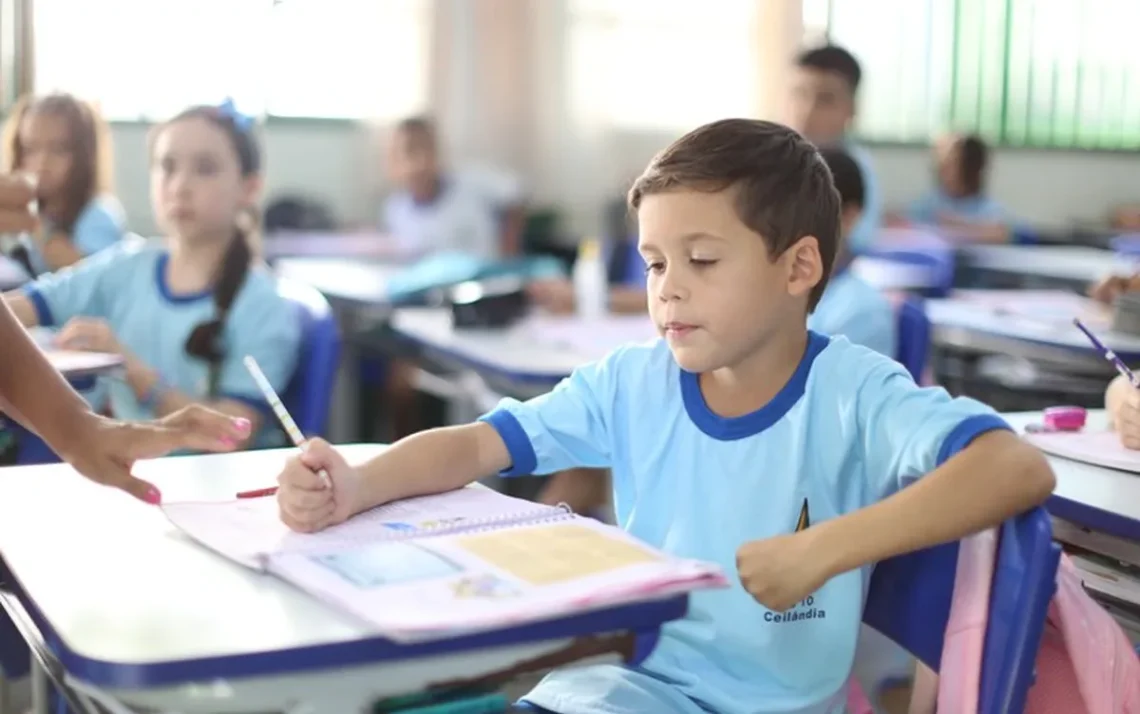 formação, instrução, ensino, aprendizagem, educação ;