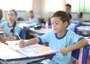 formação, instrução, ensino, aprendizagem, educação ;