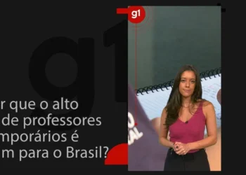 docentes, temporários, professores efetivos, professores concursados;