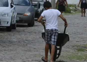 emprego, serviço, atividade;