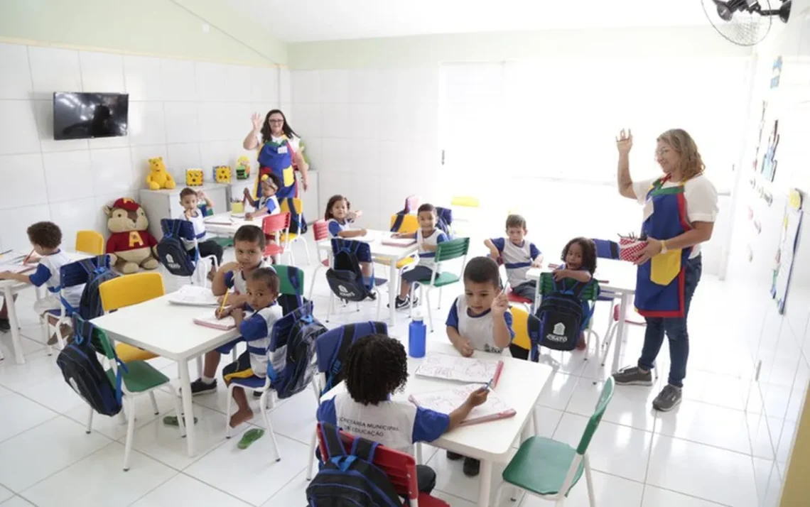 educação básica, ensino;