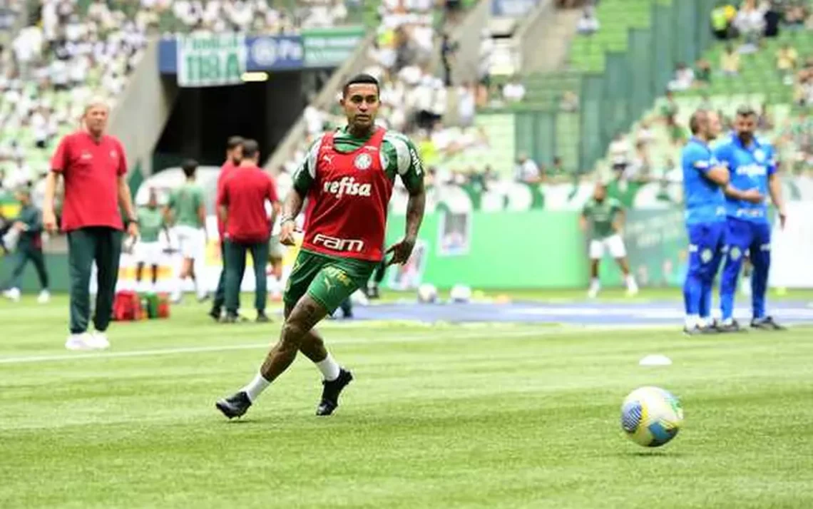 Palmeiras, Santos, Peixe;