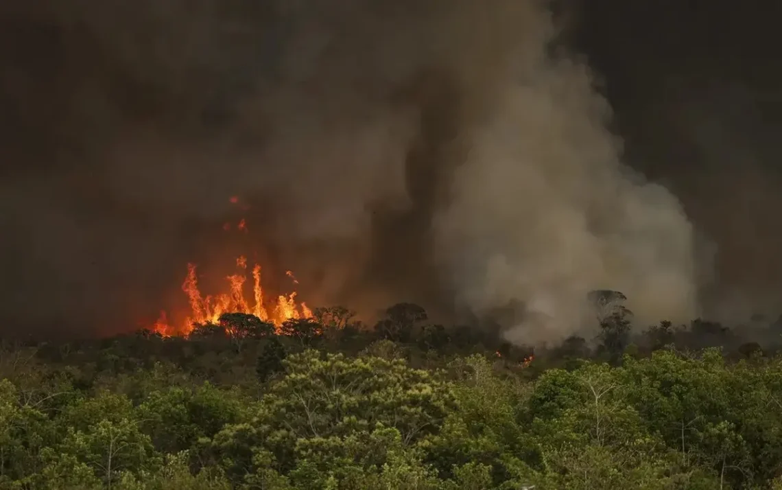 queimadas, incêndios