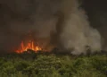 queimadas, incêndios