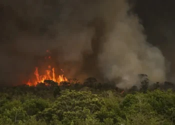 queimadas, incêndios