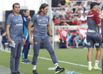 Paulistão, Campeonato Paulista, Botafogo-SP, gana, atacante;