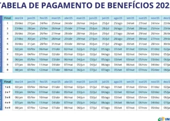 Calendário do INSS de 2025 — Foto: Divulgação / INSS — Foto: Getty Images - Todos os direitos: @ Valor Invest Globo